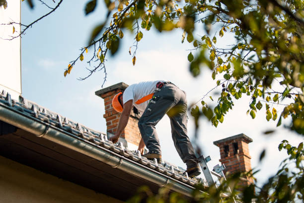 Best Flat Roof Repair Services  in Collinsvle, IL
