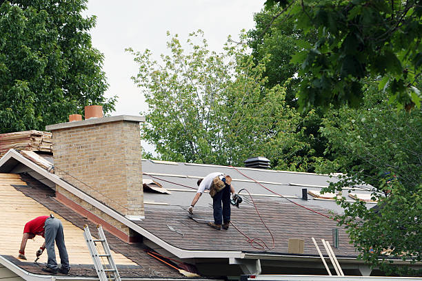 Best Shingle Roofing Installation  in Collinsvle, IL