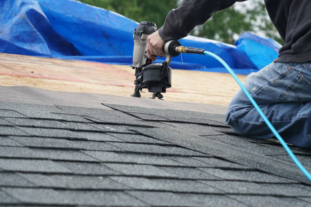 Best Roof Restoration Services  in Collinsvle, IL