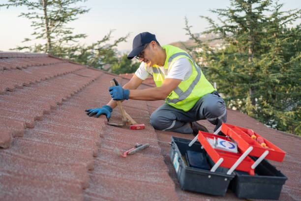 Best Roof Maintenance Services  in Collinsvle, IL