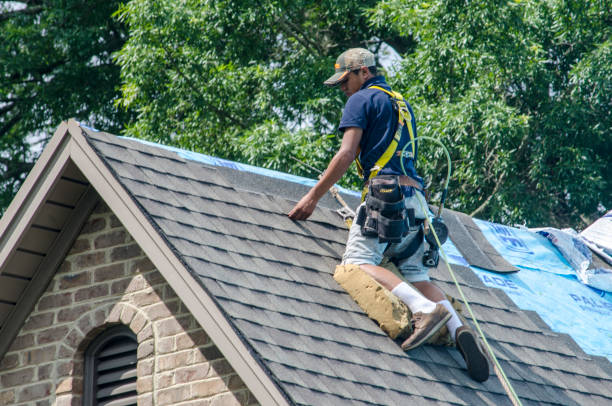 Best Roofing Contractor Near Me  in Collinsvle, IL